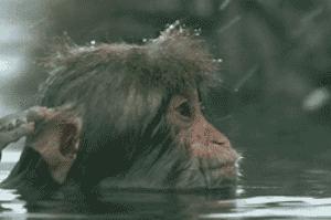 武汉周边哪个温泉最好,武汉周边泡温泉好去处