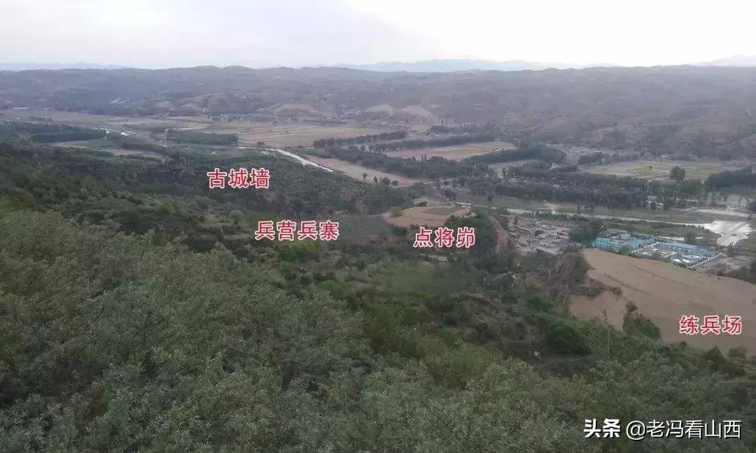 山西忻州静乐天地藜麦,山西静乐县杂粮