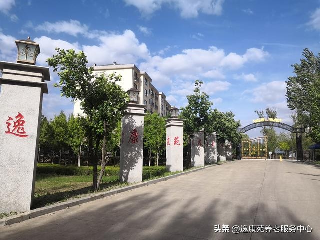 适合老人的活动方案,适合老人做的小生意项目大全