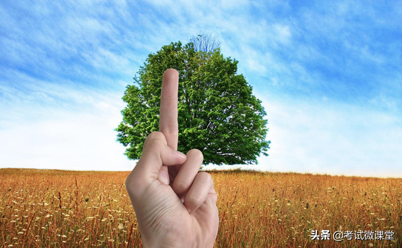 高中数学射影定理三角函数,三角函数的数学历史