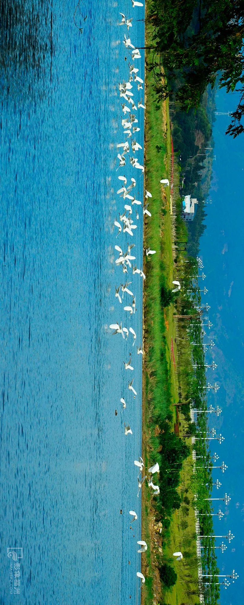 白云区永泰,什么是永泰葱饼