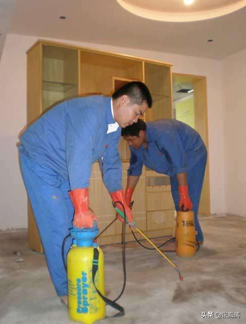 堆砂白蚁分类,白蚁的基本防治方法有哪些