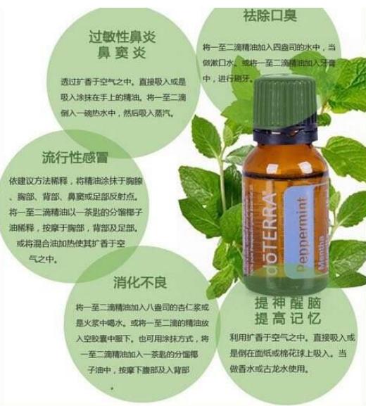 多特瑞精油代理商,多特瑞精油代理怎么挣钱的