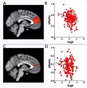 脑科学日报最新预测,脑科学日报完整视频