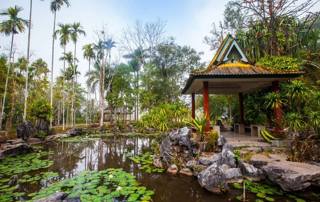 西双版纳风景之旅自由行旅游攻略,邂逅雨林西双版纳秘境之旅