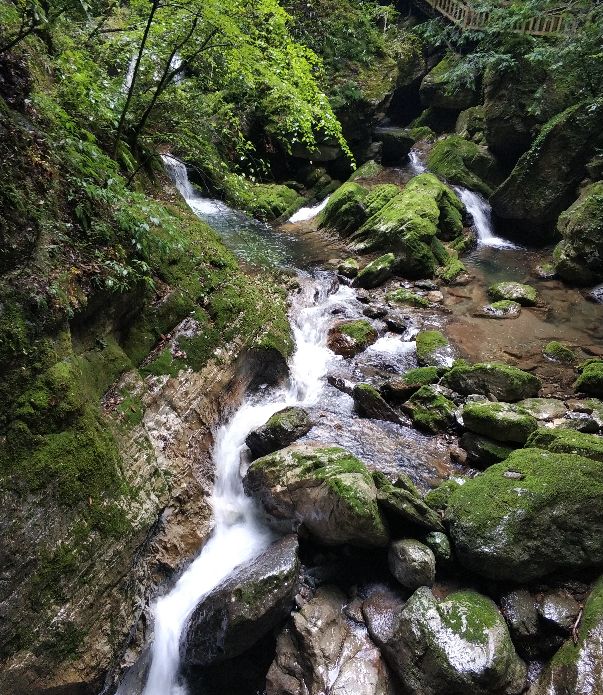 中医与生活相结合,中医和生活的奇妙关系