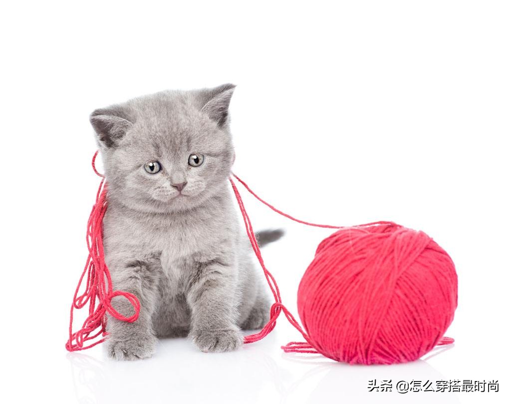 高级十字绣图案大全,十字绣怎么玩视频