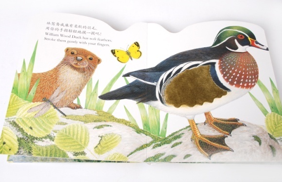 6到12月宝宝绘本,6-12岁儿童绘本推荐