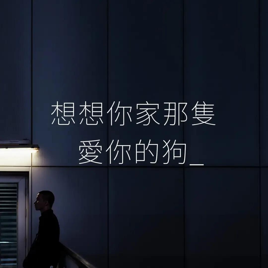 台湾一超市设计80则海报文案,只为把网友弄哭:现在哭,最划算