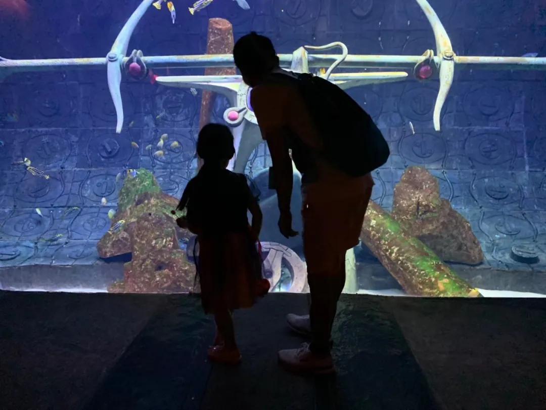 牛津树学校版和家庭版书单,牛津树经典阅读书籍