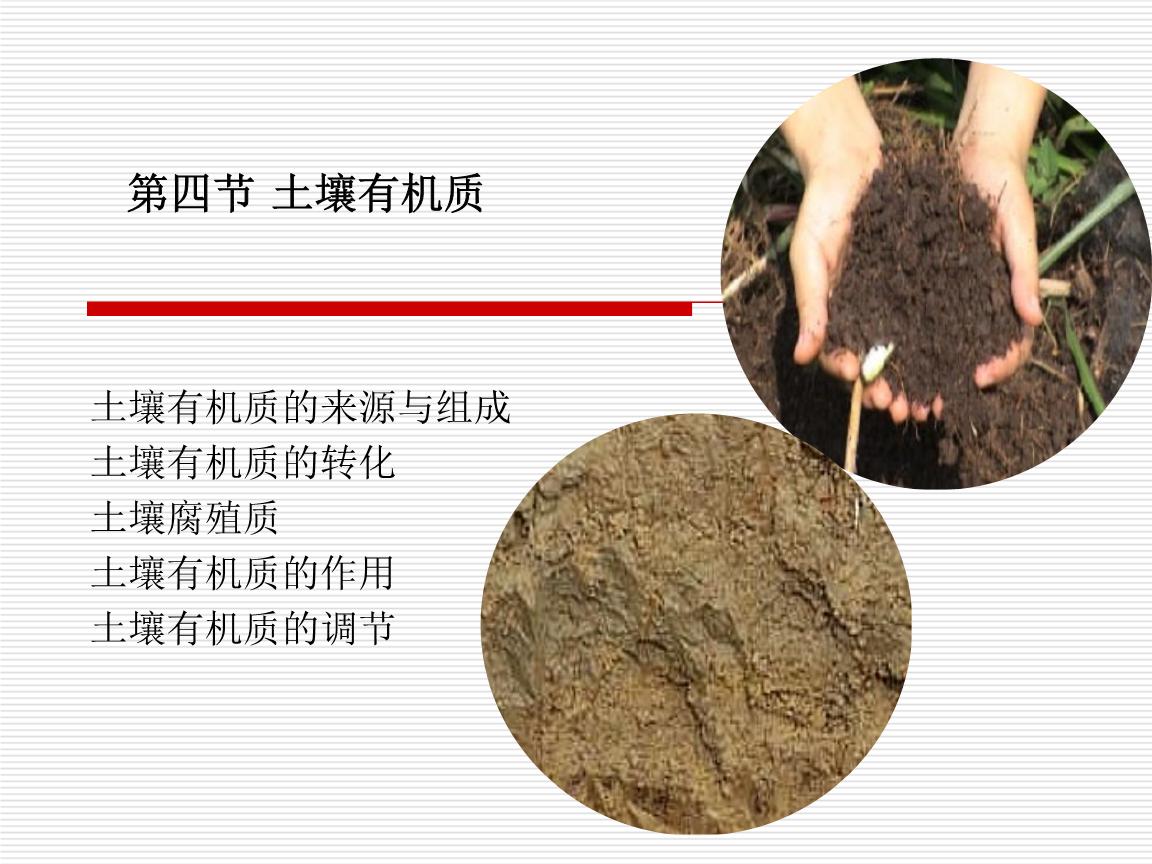 有机蔬菜是不是智商税,为什么说有机蔬菜是交智商税