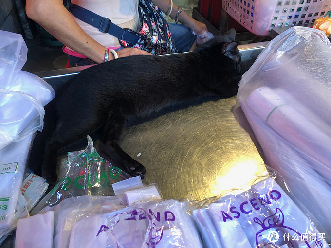 泰国萨瓦迪卡旅行攻略,泰国萨瓦迪卡旅行记