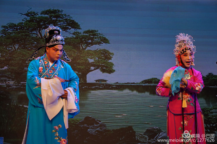 曲剧花为媒经典唱段全场,曲剧花为媒报花名完整唱段