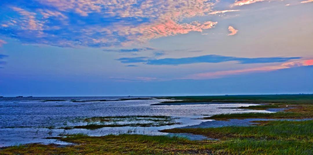 长江大闸蟹怎样,长江大闸蟹