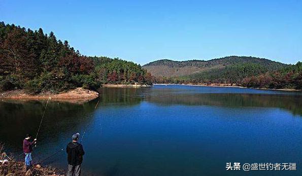 野钓鲫鱼最好的商品饵料,野钓鲫鱼饵料推荐公认前十