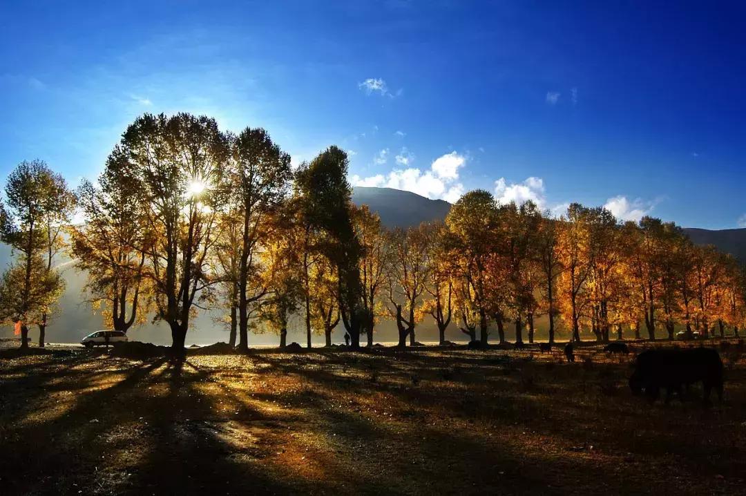 修正药业价值,修正药业今天的消息