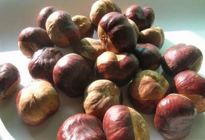 七叶皂苷钠可以治什么病,七叶皂苷钠主要治疗哪些病