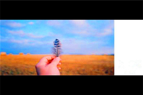 35岁创业失败后如何上岸,被海水呛了