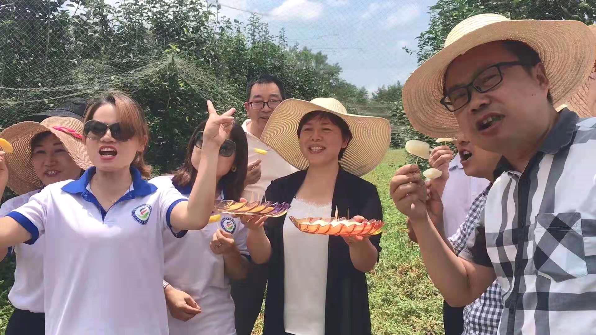 注册了5个微信号,注册5个微信号