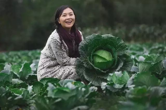 十年前的美女主播去哪了,十年前离开央视的女主持人