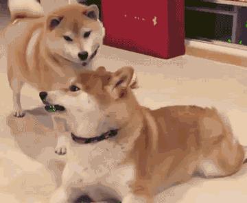 反复口腔溃疡竟被查出癌症,深圳男子口腔溃疡导致舌癌