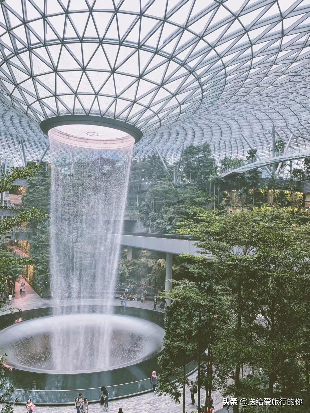 定居新加坡真实感受,旅居新加坡的真实现状