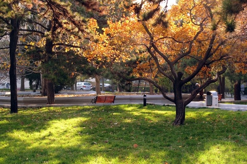 适合中等分考的5所医学院校,这五所大学实力超群