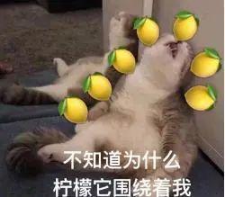 吃瓜一词是怎么来的,吃瓜一词的由来