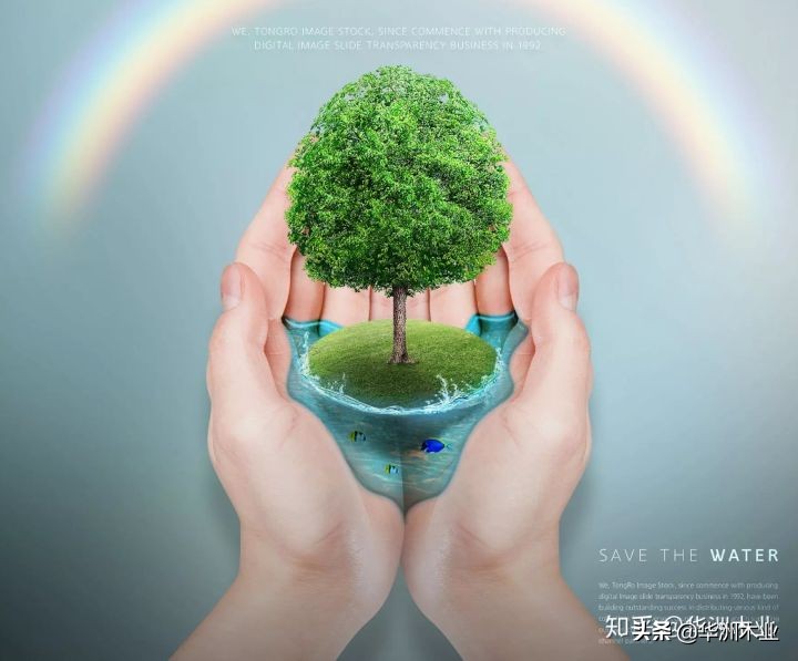 华洲木业怎么样,华洲木业