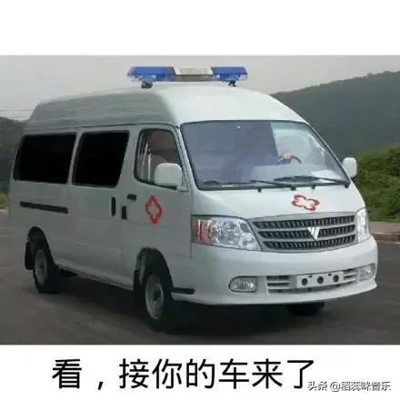 学弦乐的崩溃瞬间,学乐器的十大忠告