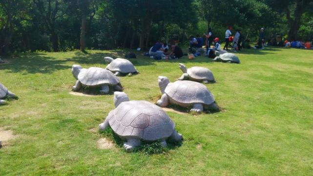 汕头南澳岛有几个岛屿,汕头除了南澳还有海岛
