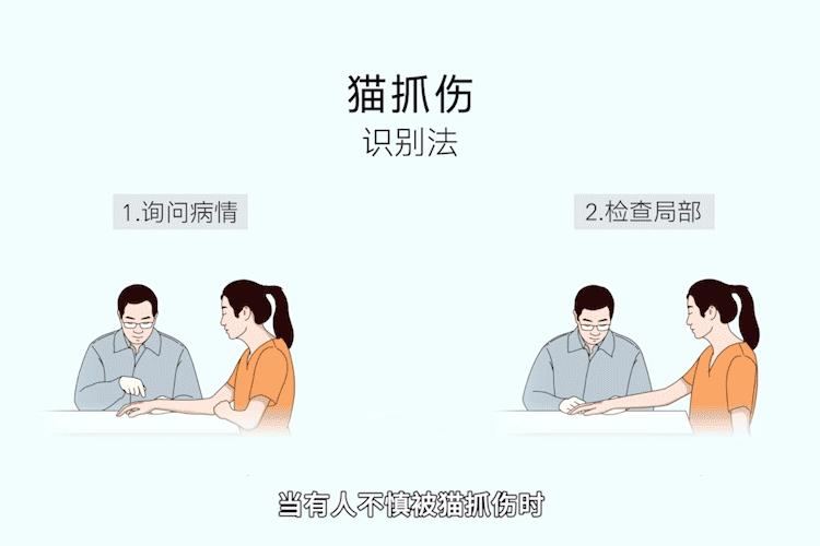 被家养猫抓伤有必要打疫苗吗,宠物猫瘟知识科普