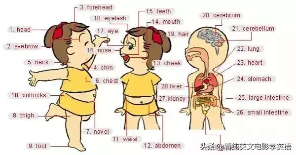英语常用词语大全表图片,英文必背3000常用词