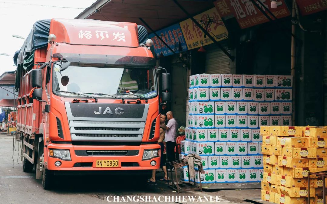 长沙红星水果批发市场水果价格,长沙红星水果批发市场代卖荔枝