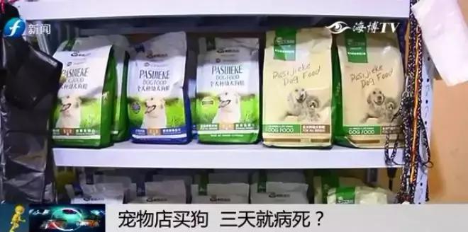 宠物狗买回来过几天病死怎么维权,厦门宠物店