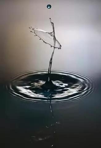 道德经里的处世之道,探索道德经中的处世大智慧