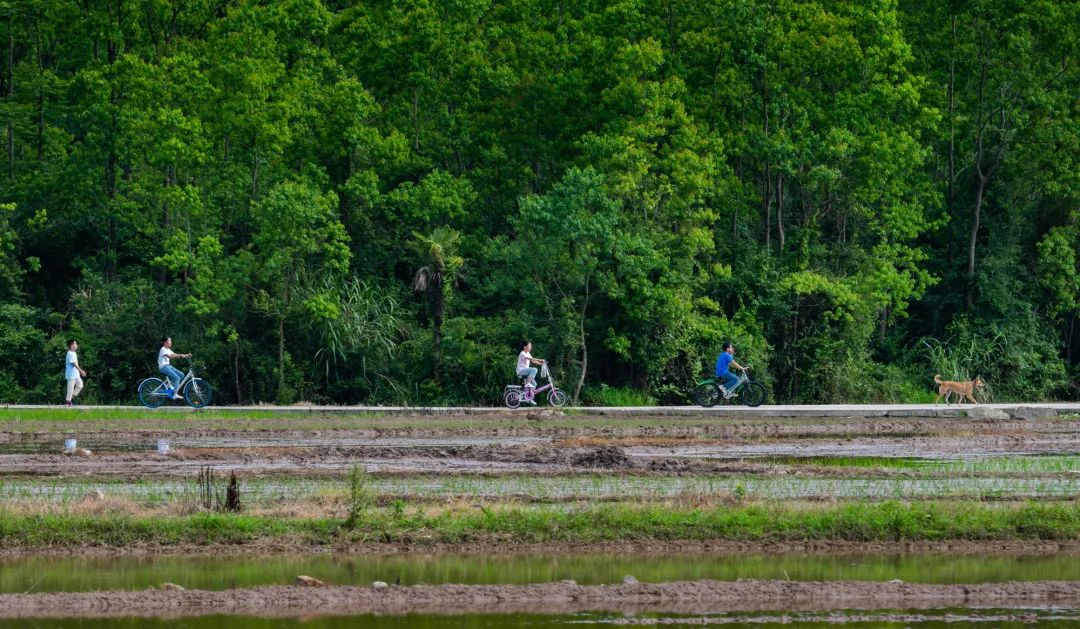 中国最美的十大温泉旅游胜地,一日游十大最美丽温泉
