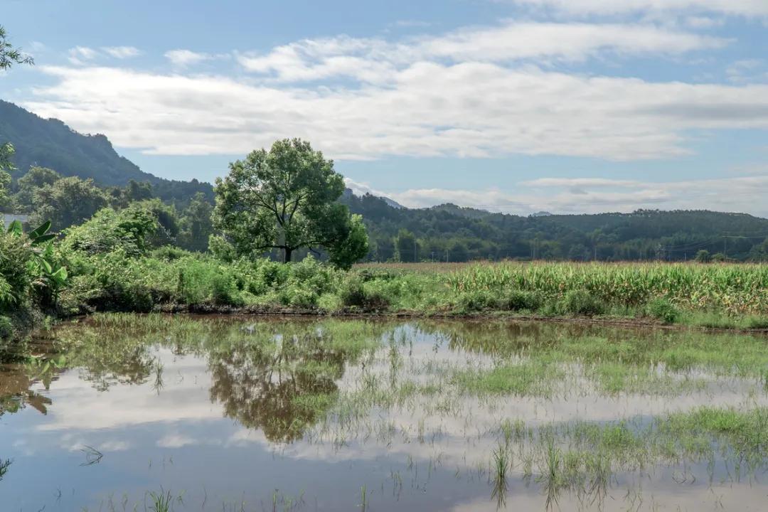 韶关丹霞山一日旅游攻略,去韶关丹霞山旅游攻略