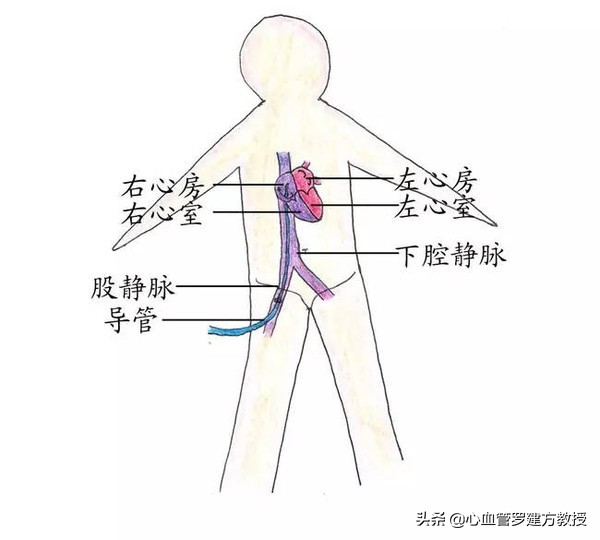 发生心律不齐，怎么样才能恢复正常？#原创首发##青云计划#