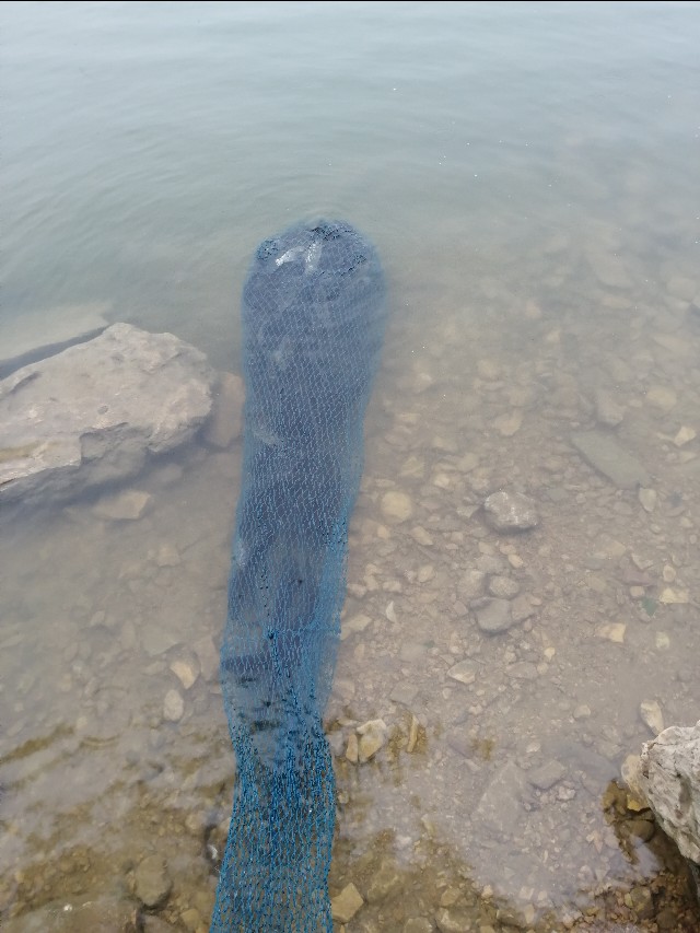 钓鱼五年,杂谈目前的我对于钓鱼的理解和感悟,写给钓鱼人。