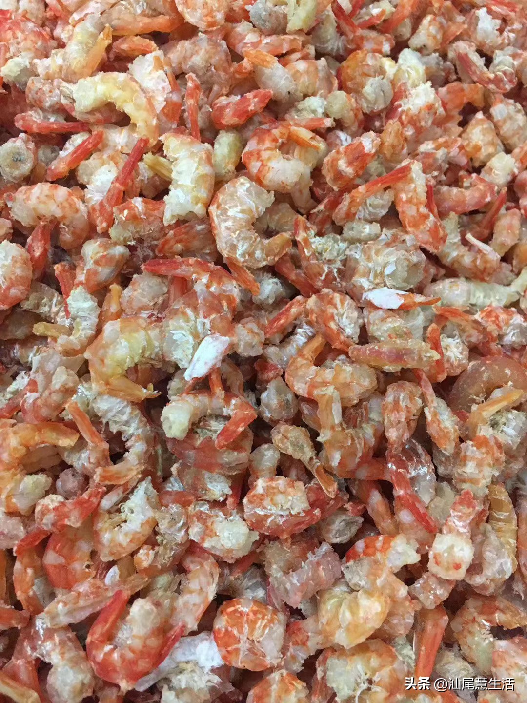 汕尾虾干炒什么好吃,汕尾海味虾干特产怎么吃