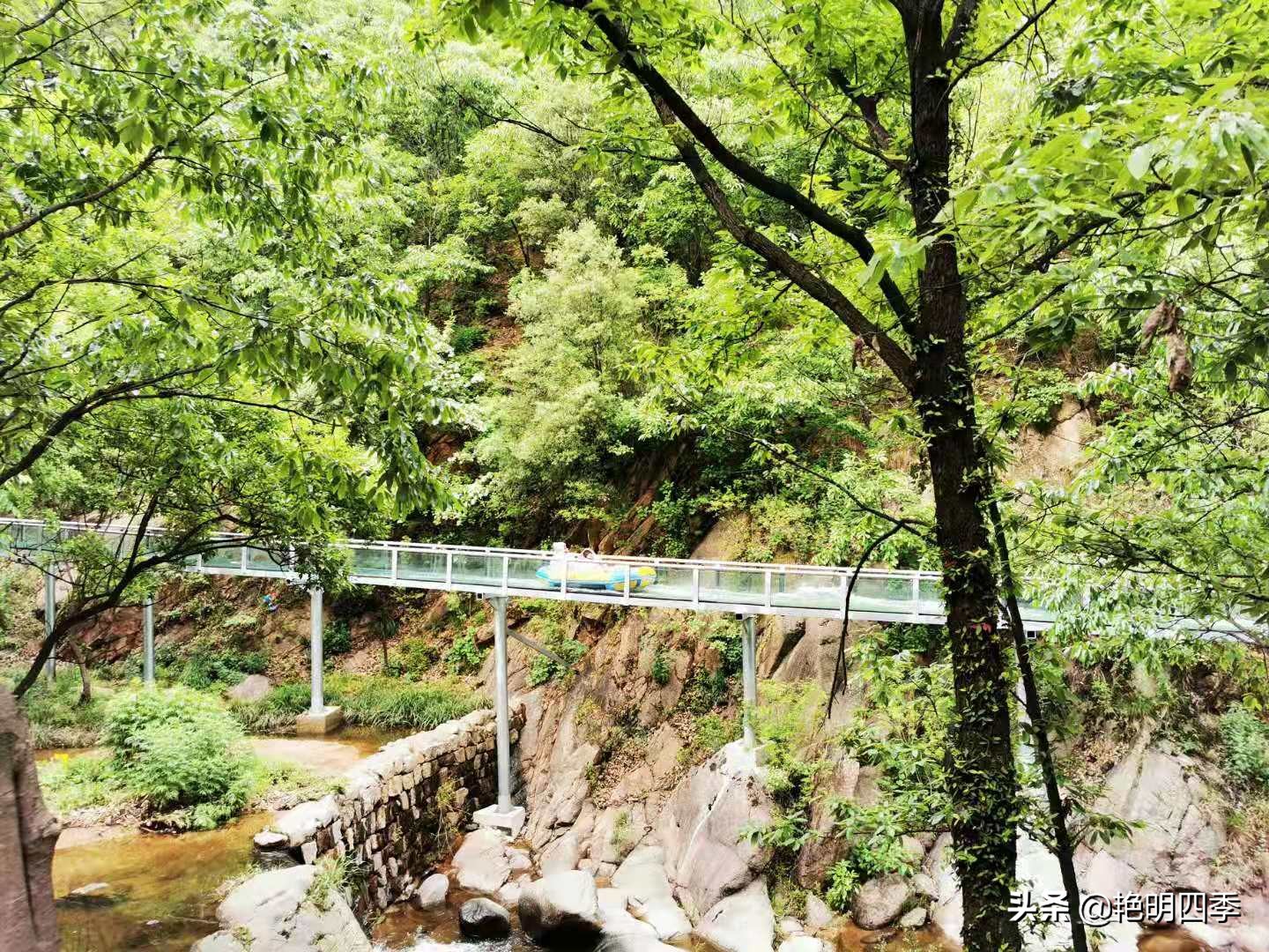 河南平顶山画眉谷——画眉声声谷愈静,流水淙淙山更幽