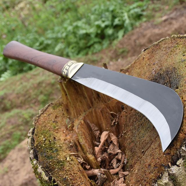 徐建成散文随笔选,徐建成的散文随笔