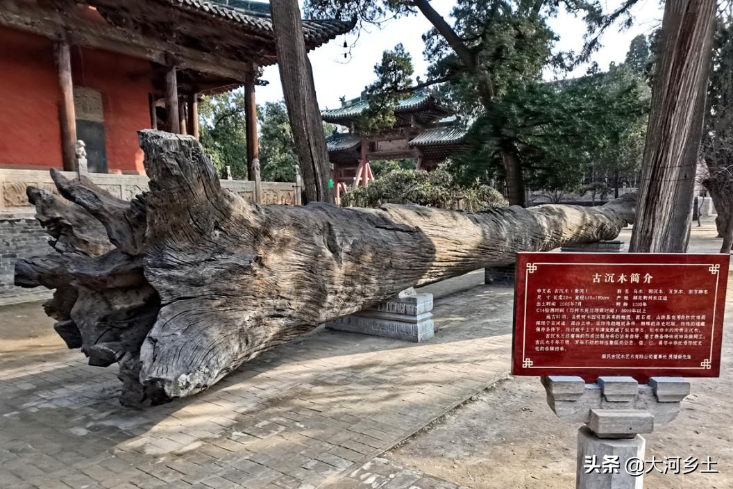 千年乌木关帝庙,关帝庙古树价格