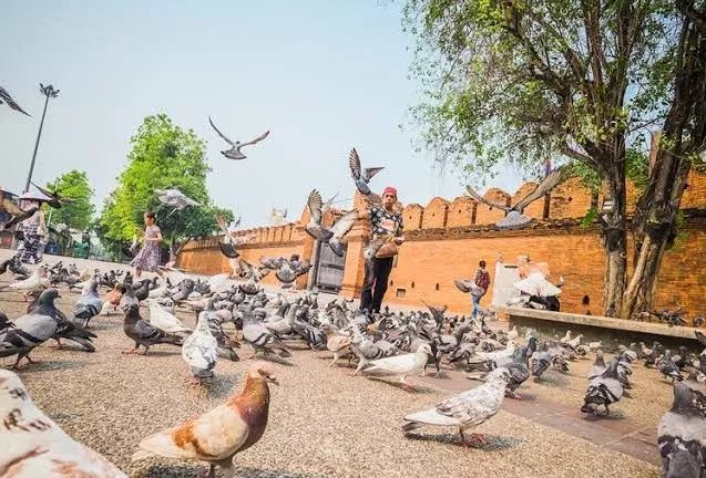 清迈景点攻略亲子游玩,清迈十大必去景点简介大全
