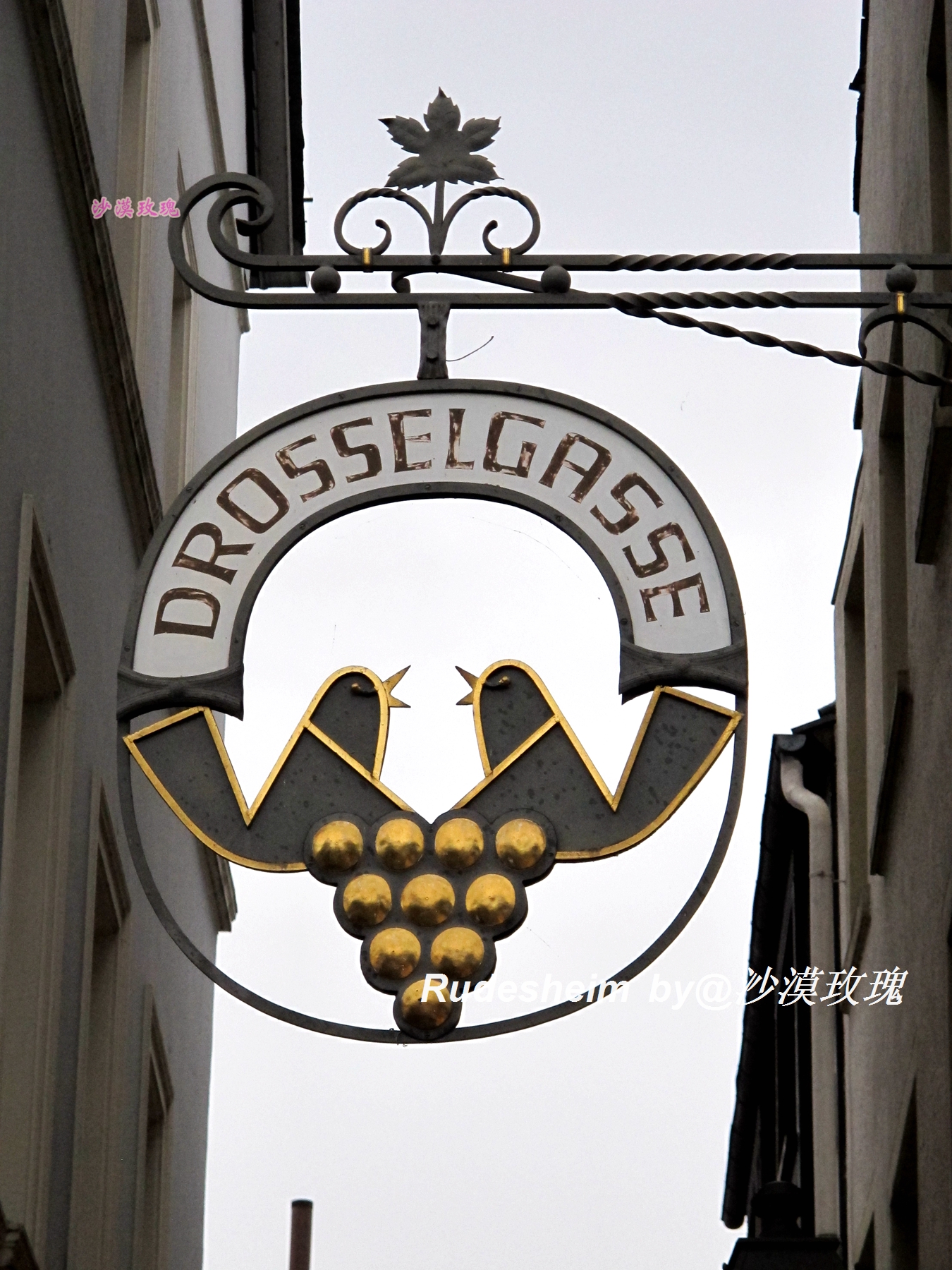 莱茵河葡萄酒小镇,莱茵河畔的葡萄小镇