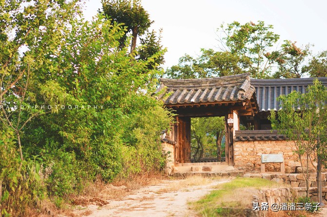 去韩国不购物回来的感受,去韩国一定要买什么