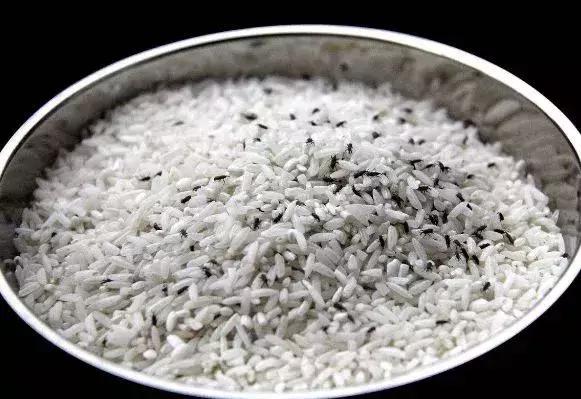 米饭辟谣,有虫的大米可以吃吗