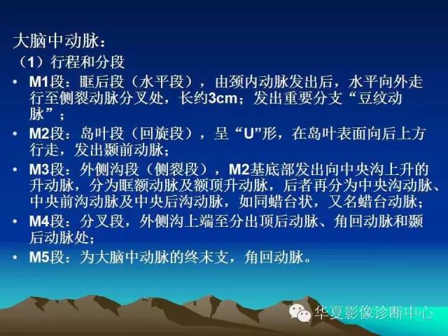 小脑血管解剖分段,脑血管影像解剖讲解