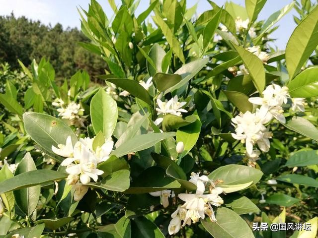 长寿秘诀养生之道,健康长寿之道